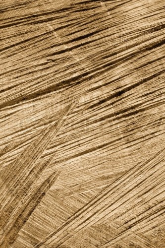 Wood sawed.